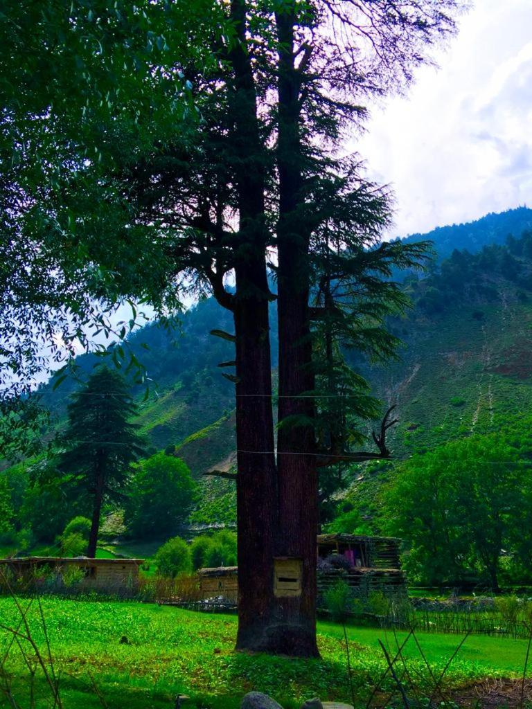 Chitral Inn Resort Екстер'єр фото